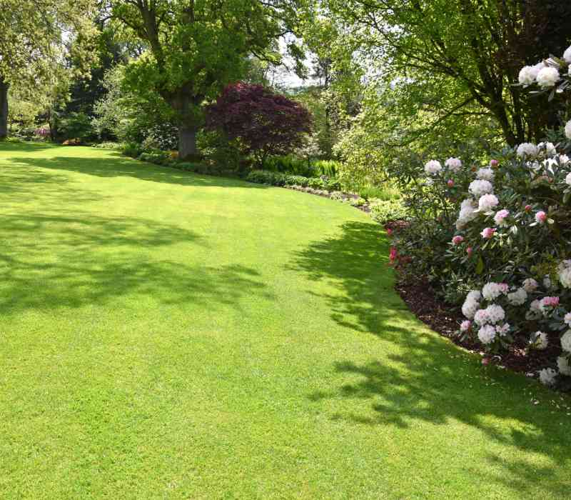 Rasenpflege - ein Service von Baum- und Gartenpflege Frey